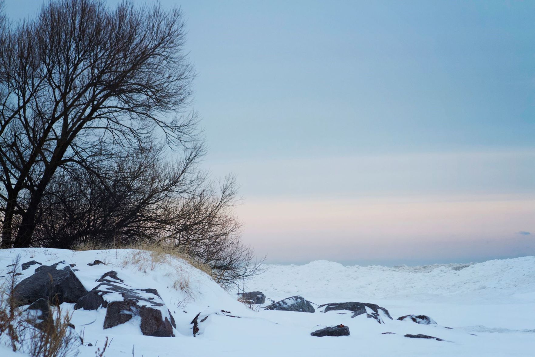 Frozen landscape